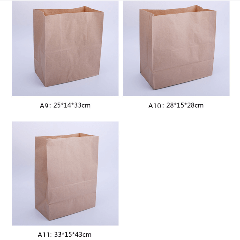 large paper craft bags