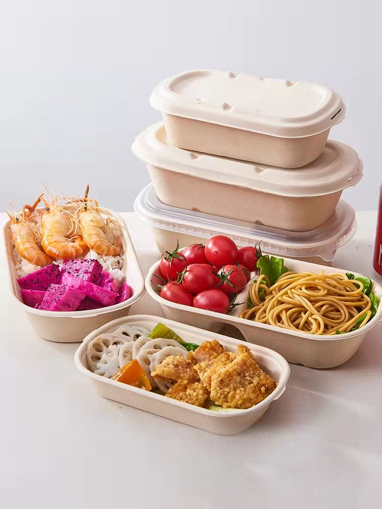 sugarcane bagasse food lunch box with lid