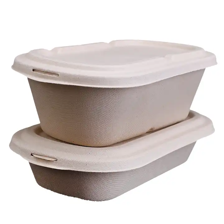 Einweg-Clamshell-Bagasse-Lebensmittelbehälter mit quadratischer Schüssel