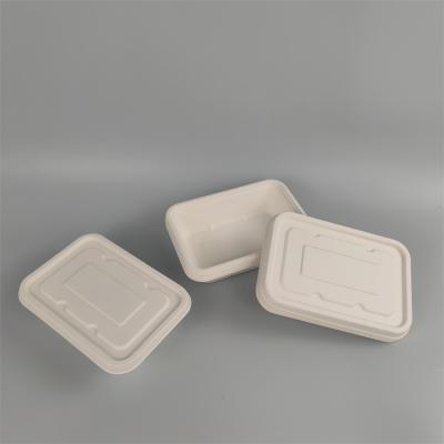 Einweg-Lunchboxen aus Zuckerrohr-Bagasse mit Deckel
